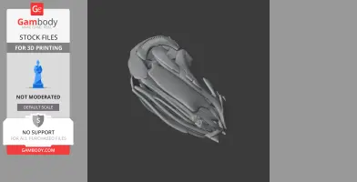 3D model of a detailed coelacanth skull for printing, showcasing intricate bone structures.