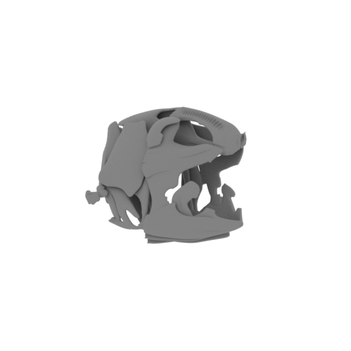 Coelacanth Skull.stl