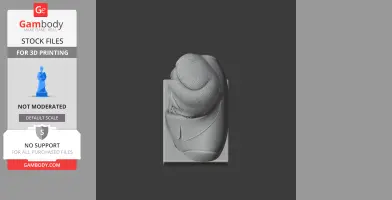 Bust of Frederic Chopin with ornate historical warrior armor, top view, for 3D printing.