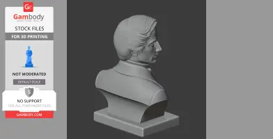 3D print-ready bust model of a man with wavy hair on a square base, viewed from behind.