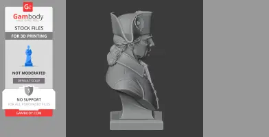 Bust of a historical figure in a tricorn hat, side profile, suitable for 3D printing.