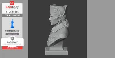 Bust of a historical figure in a tricorn hat, detailed hair and military attire, side profile view.