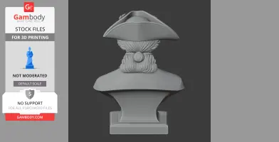 Bust of a historical figure with tricorn hat and wig, viewed from the back.