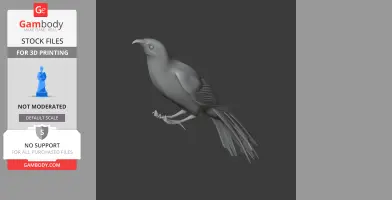 3D model of a perched New Zealand Wattlebird for printing, displayed on a dark background.