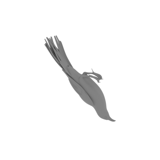 New Zealand Wattlebird Bird.stl