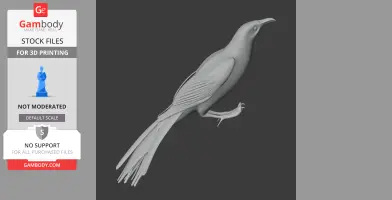 A detailed 3D model of a New Zealand Wattlebird, showcasing intricate feathers and a curved beak.