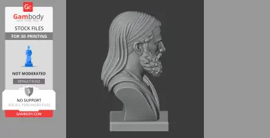A detailed bust of a historical warrior, with long hair and a beard, designed for 3D printing.