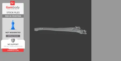 3D model of Arg-e Bam's architectural ruins, elongated structure for 3D printing display.