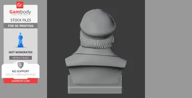 A 3D model of a historical warrior bust, viewed from the back, wearing a hat and draped clothing.