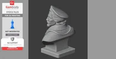 3D model of a historical warrior bust with a hat and draped clothing, designed for 3D printing.