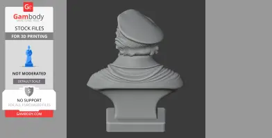 3D model of a historical warrior bust, rear view, wearing a beret, with detailed hair and draped clothing.