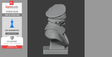3D print model of a detailed historical warrior bust, wearing a cape and flat cap.