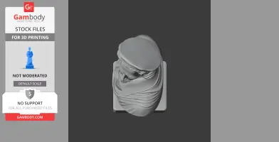 3D model of a bust depicting a historical warrior with a helmet, viewed from above.