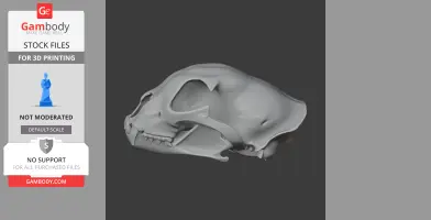 Chital Skull - Skull Replica STL