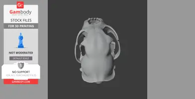 Chital Skull - Skull Replica STL