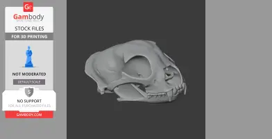 Chital Skull - Skull Replica STL