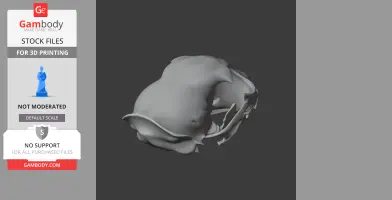 Chital Skull - Skull Replica STL