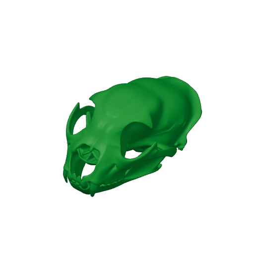 Chital Skull.3mf