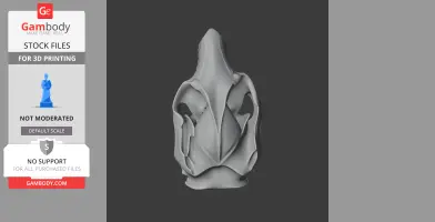 A 3D model of a Common Brushtail Possum skull viewed from above, designed for 3D printing.