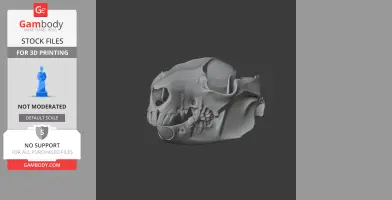 3D model of a Common Brushtail Possum skull, detailed and ready for 3D printing.