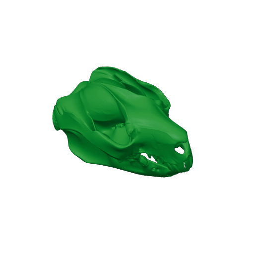 Common Brushtail Possum Skull.3mf