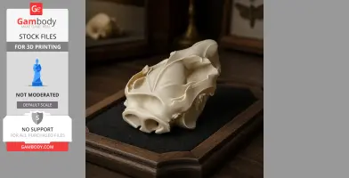 3D printed replica of a common brushtail possum skull, displayed on a wooden base.