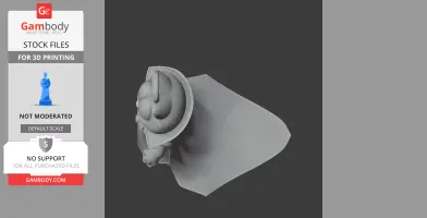 A 3D model of a cartoon cat in a superhero cape and hat, viewed from above.