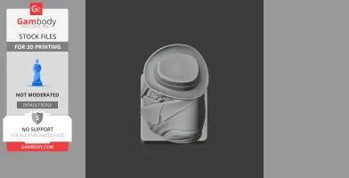 3D printable bust of a figure in a hat, viewed from above, detailing clothing folds and hat brim.