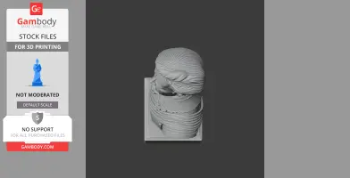 Bust of a bearded historical warrior with detailed clothing, viewed from above, ready for 3D printing.
