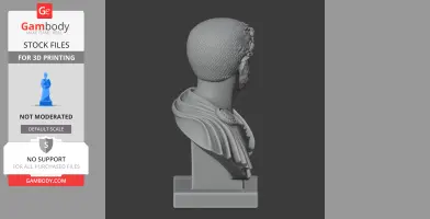 Hadrian Bust - Historical Warrior STL