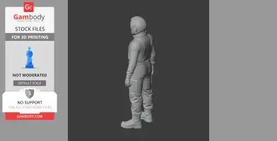 A 3D model of a person in a detailed spacesuit facing away, ready for 3D printing.