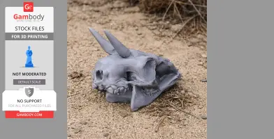 Common Duiker Skull - Skull Replica STL