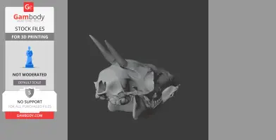 Common Duiker Skull - Skull Replica STL