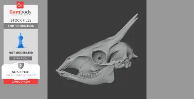Common Duiker Skull - Skull Replica STL