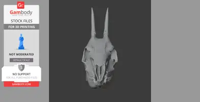 Common Duiker Skull - Skull Replica STL