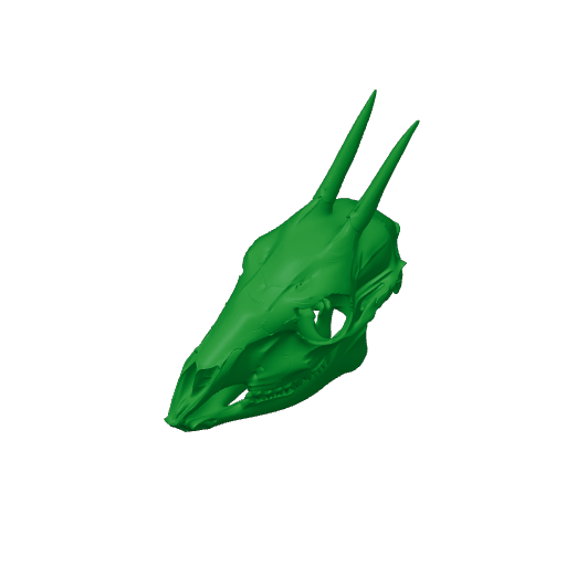 Common Duiker Skull.3mf