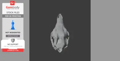 Common Duiker Skull - Skull Replica STL