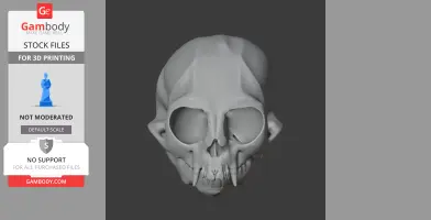 Common Marmoset Skull - Skull Replica STL