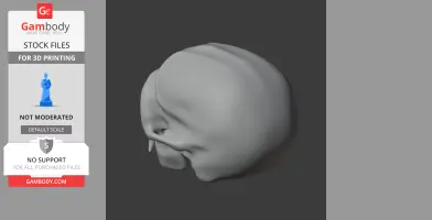 Common Marmoset Skull - Skull Replica STL