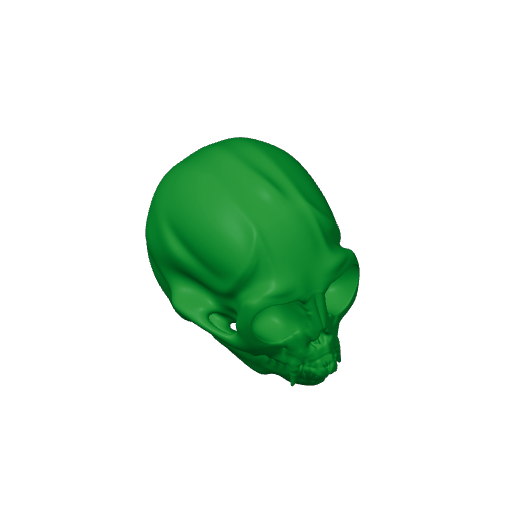 Common Marmoset Skull.3mf