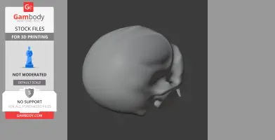 Common Marmoset Skull - Skull Replica STL