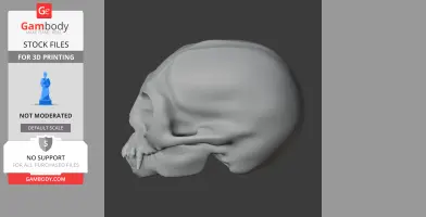 Common Marmoset Skull - Skull Replica STL
