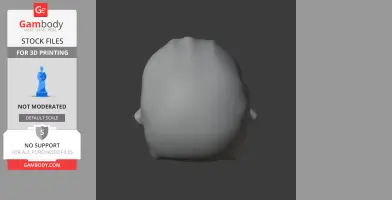 Common Marmoset Skull - Skull Replica STL
