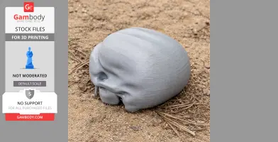 Common Marmoset Skull - Skull Replica STL
