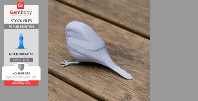 Oilbird Bird - Prehistoric Animal STL