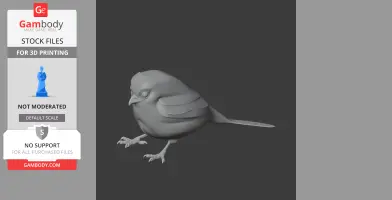 Oilbird Bird - Prehistoric Animal STL