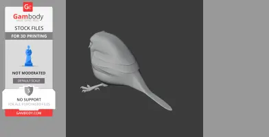 Oilbird Bird - Prehistoric Animal STL