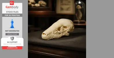 Common Mole Skull - Skull Replica STL