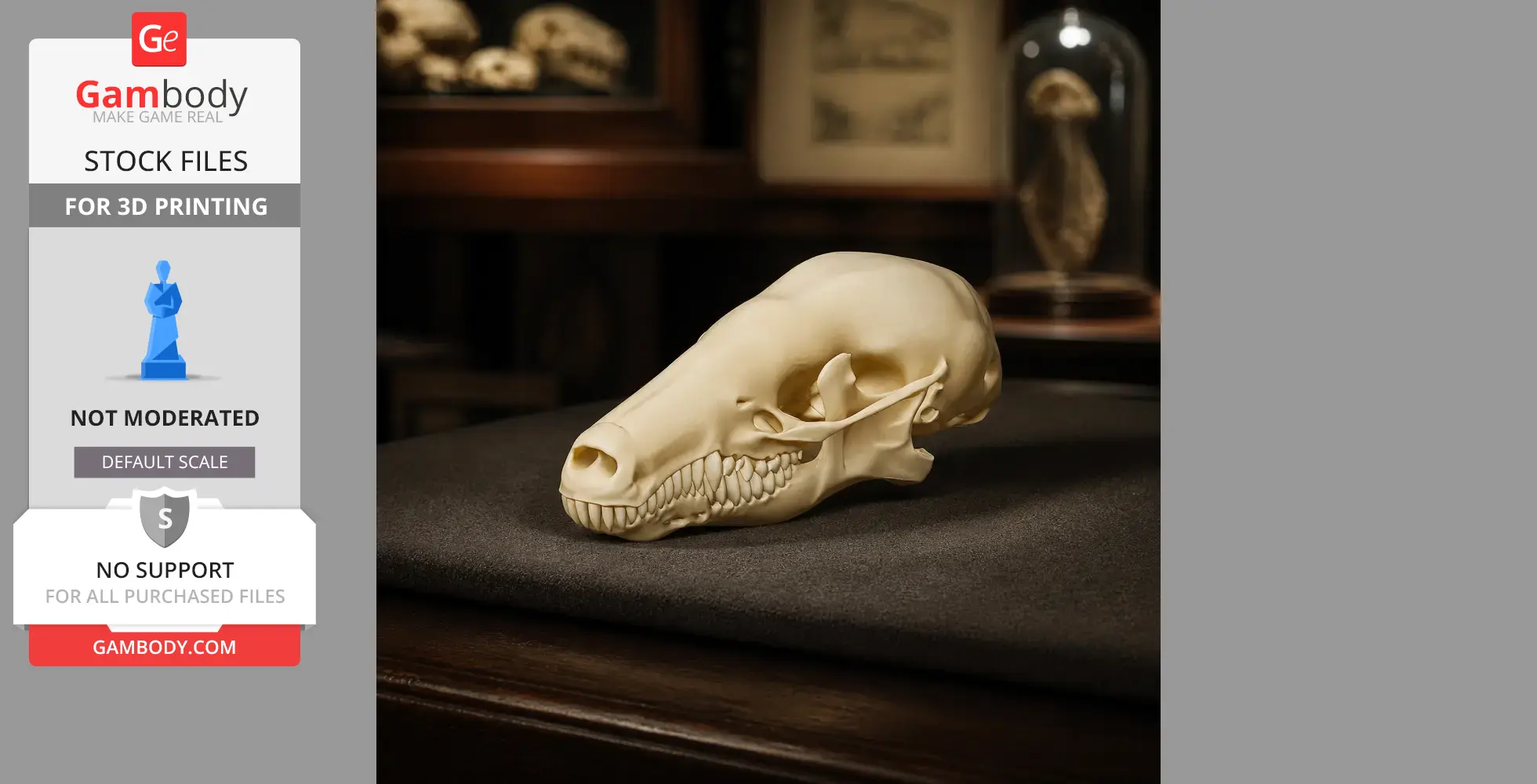 Common Mole Skull - Skull Replica STL