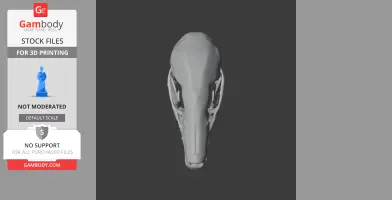Common Mole Skull - Skull Replica STL